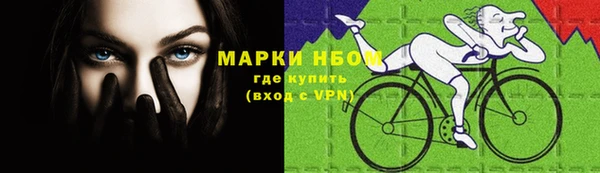 шишки Алзамай