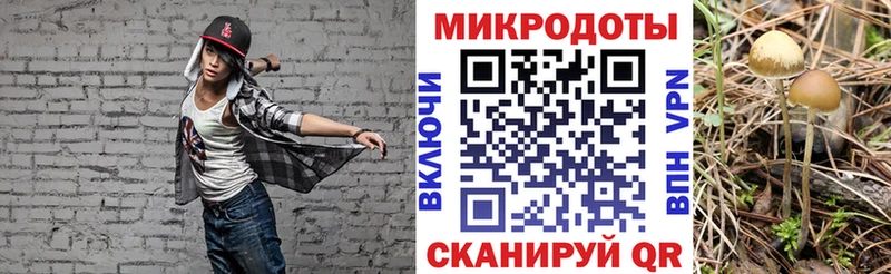 где купить наркоту  Сочи  Галлюциногенные грибы мицелий 