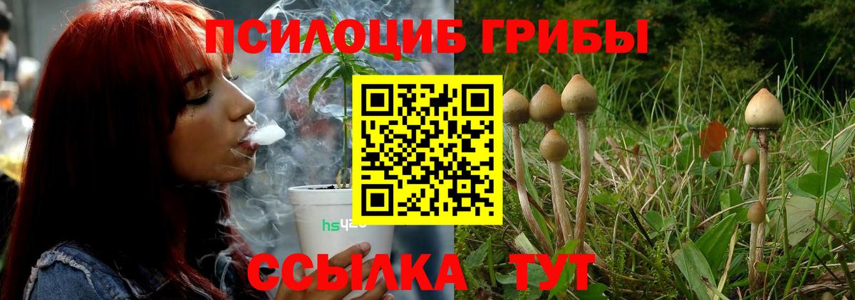 Галлюциногенные грибы Psilocybine cubensis Сочи